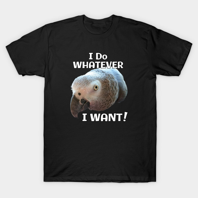 African Grey Parrot - Do Whatever I Want!
